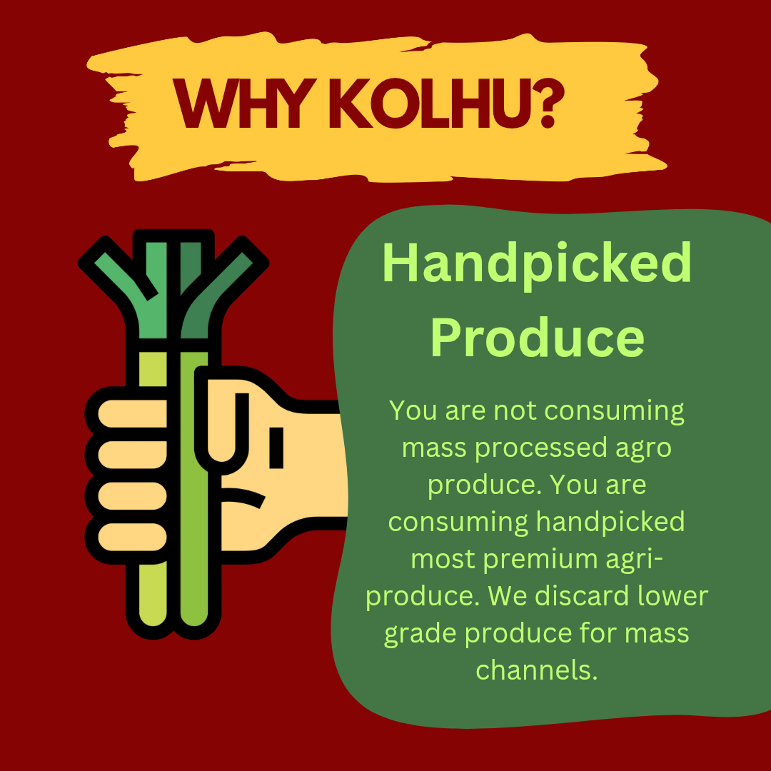 Kolhu Pesticide Free Red Rajma